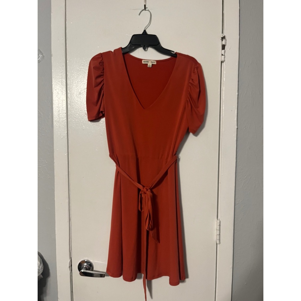 Charmed Hearts Rust Orange V-Neck Puff Sleeve Tie Waist Mini Dress Large